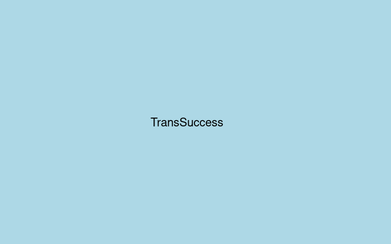TransSuccess Screenshot